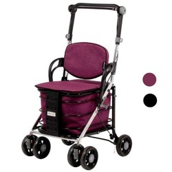 Andador carro de compra Care One de playcare