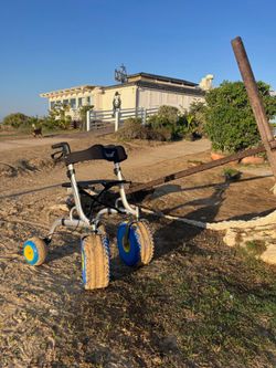 Déambulateur City Beach