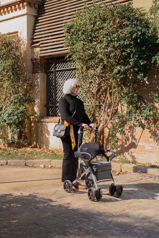 Play Care Plus Einkaufswagen-Lauflernhilfe