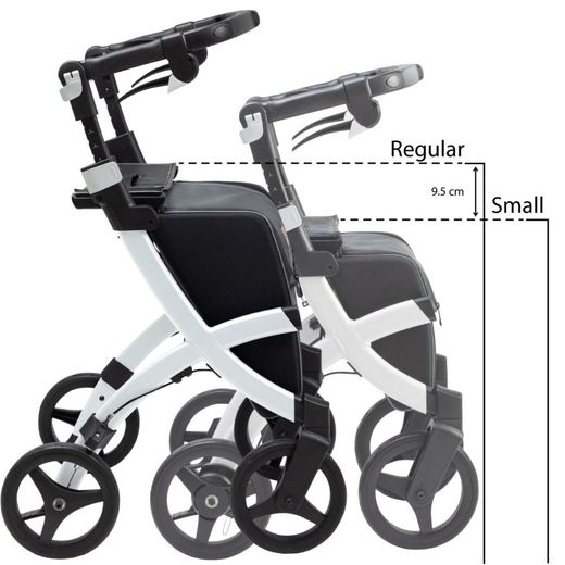 Déambulateur de chariot de supermarché Rollz Flex