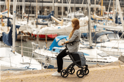 Déambulateur de chariot de supermarché Rollz Flex