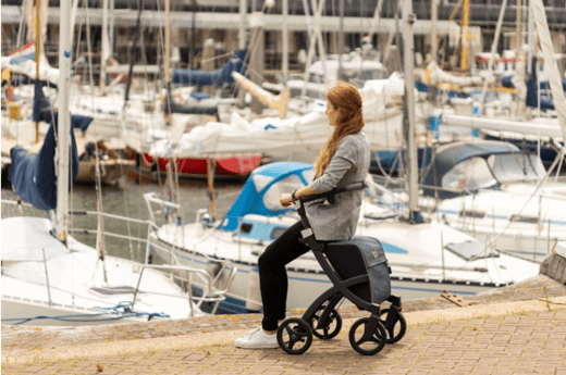 Déambulateur de chariot de supermarché Rollz Flex