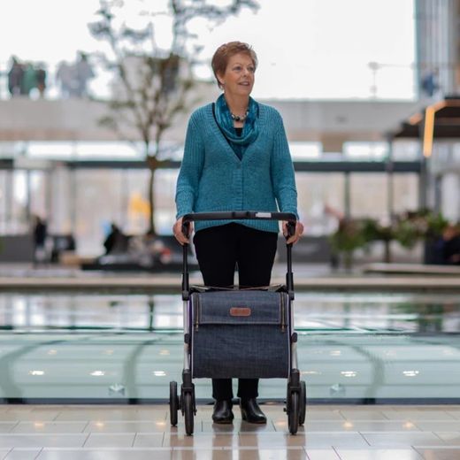 Déambulateur de chariot de supermarché Rollz Flex