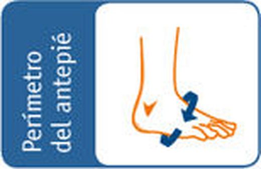 Bande métatarsienne pour antiequinus boxia