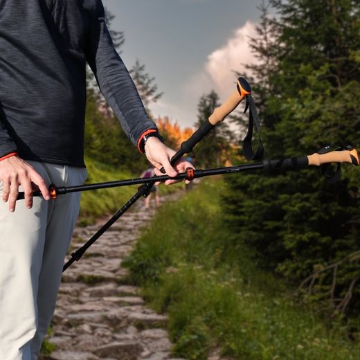 Bastones de trekking 100% de fibra de carbono.