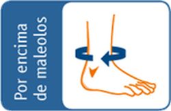 Boxia - orthèse anti-équidés