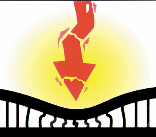 Protecteur de hanche et culotte Hipshield pour femmes. Taille S, 1 pièce.