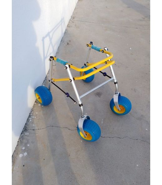 XS Strand-Kinderlauflernwagen