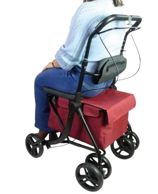 Chariot de courses, déambulateur, double capacité