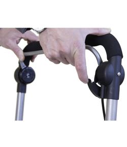 Einkaufswagen mit Baladeo-Sitz