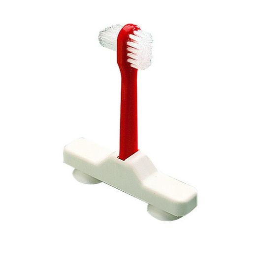 Cepillo con ventosa para dentadura postiza