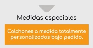 Viscoplus Orthopädische Hygienematratze