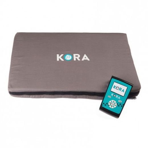 KORA Veterinär-Magnetotherapie-Geräte-Basisset