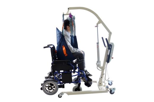 Grue électrique Nala + harnais standard M en cadeau