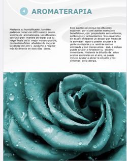 Ionisator und Ozonierung