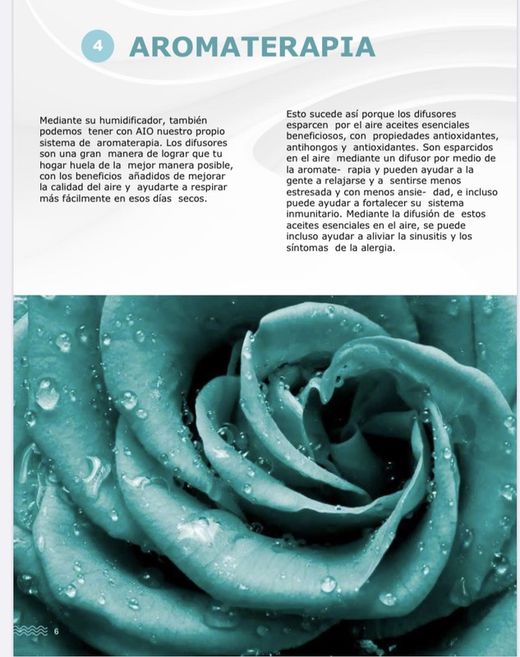 Ionisator und Ozonierung