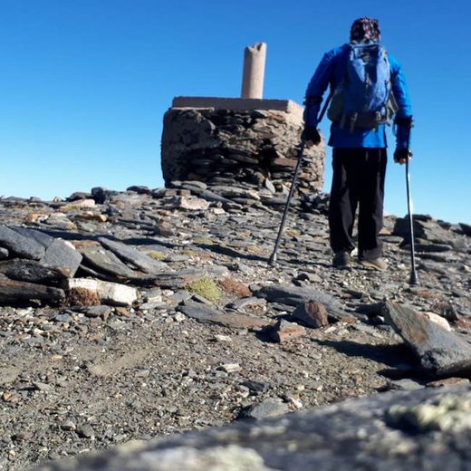 Indesmed Sport Edition Carbonfaser-Krücke