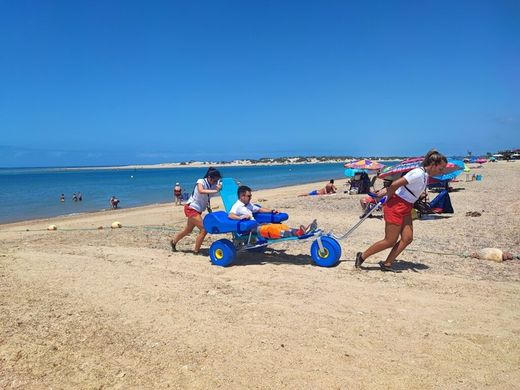 Amphibischer Stuhl Oceanic Atlantic