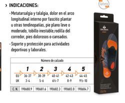 Plantillas deportivas multideport
