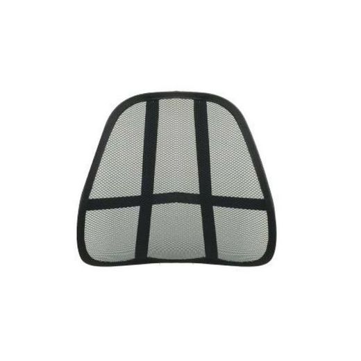 Support lombaire portable