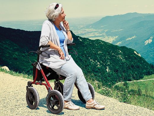 Taima Xc All-Terrain-Roller