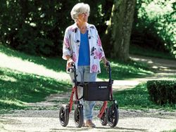 Taima Xc All-Terrain-Roller