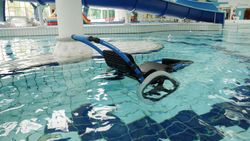 Piscine pour fauteuils roulants Hippocampe