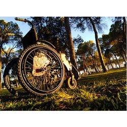 Fauteuil roulant léger Trial Country